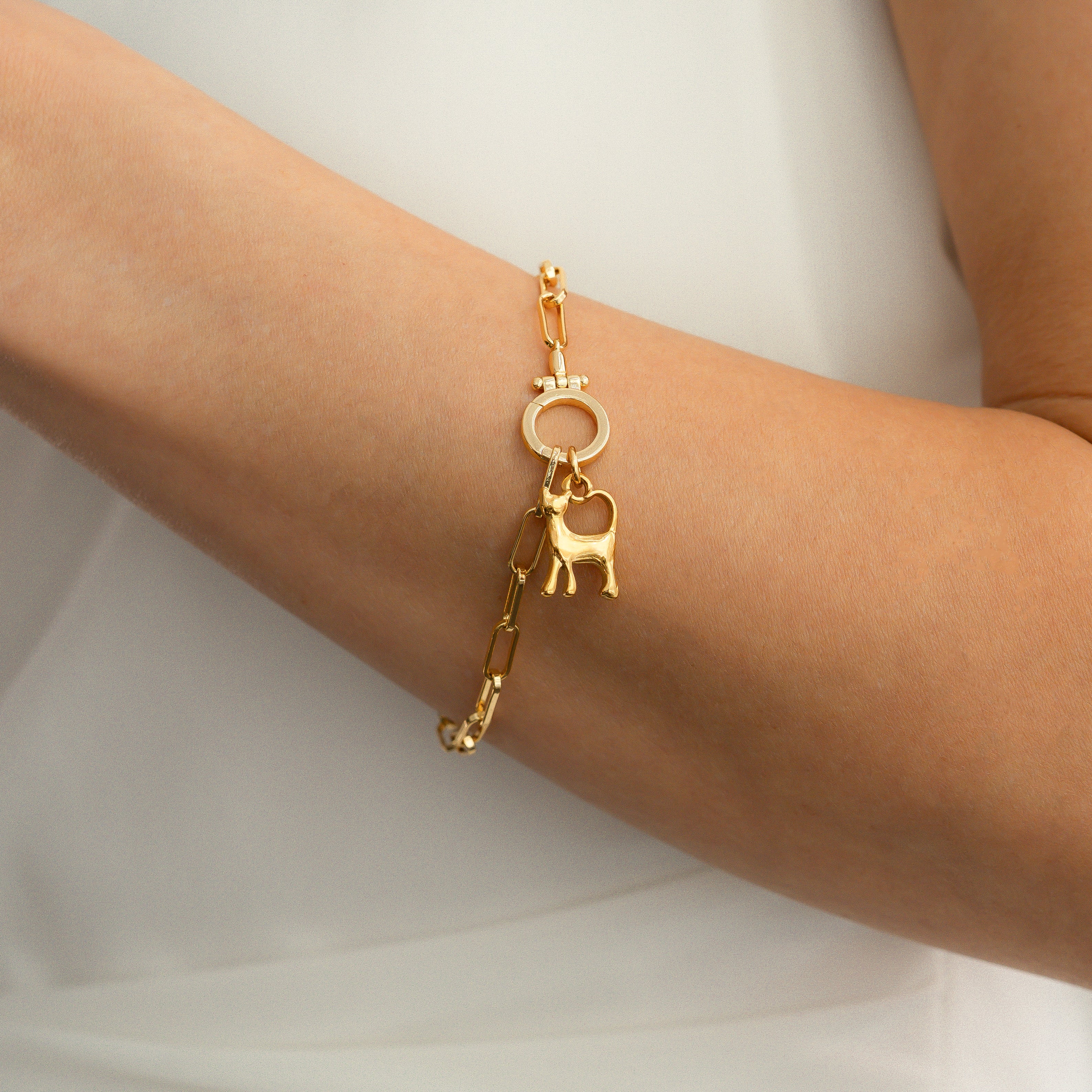 Cat Charm - Image 5