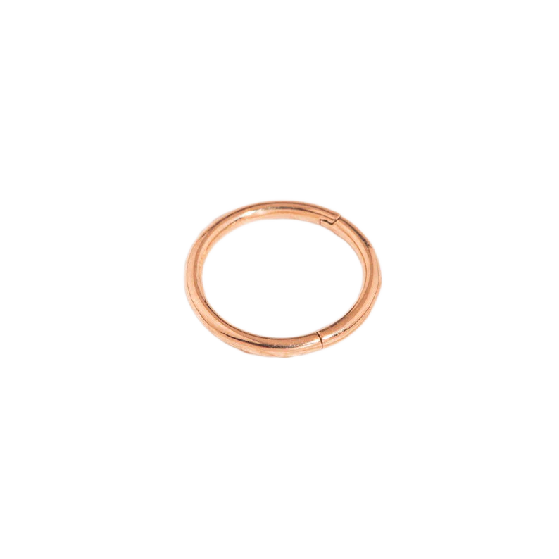 Classic Cartilage Hoop Earrings | 16g - Image 10