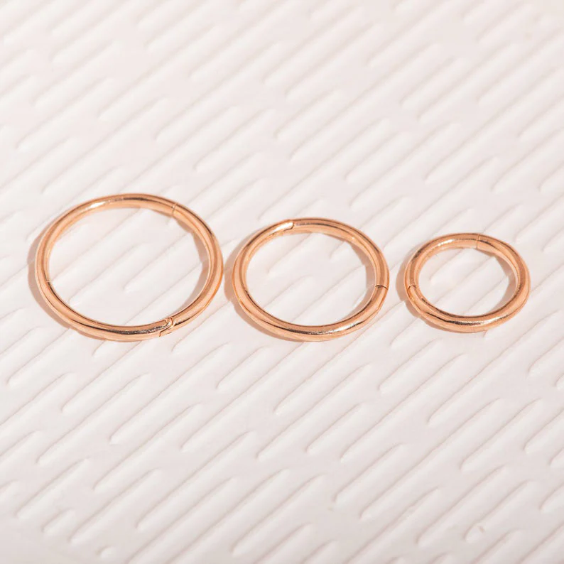 Classic Cartilage Hoop Earrings | 16g - Image 6