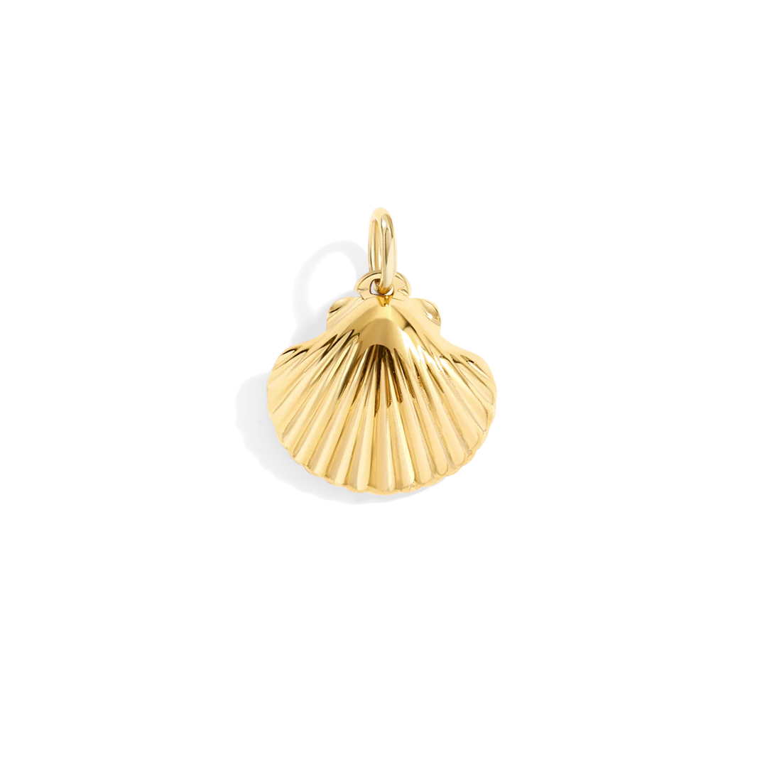 Shell Charm